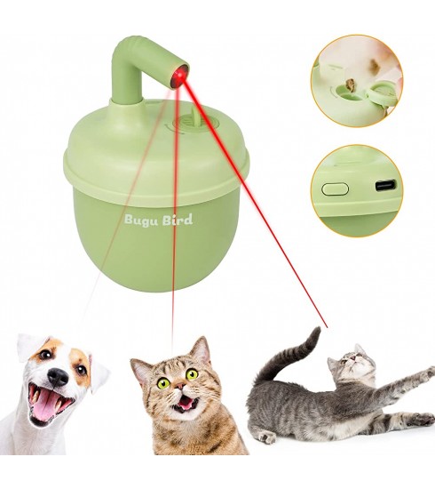 Online laser pointer outlet for cats